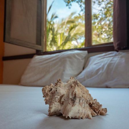 Uvita River Guesthouse מראה חיצוני תמונה