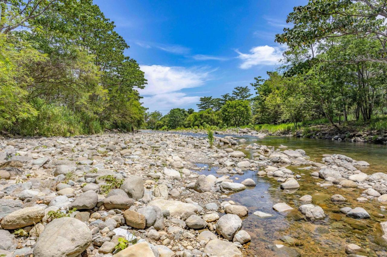 Uvita River Guesthouse מראה חיצוני תמונה